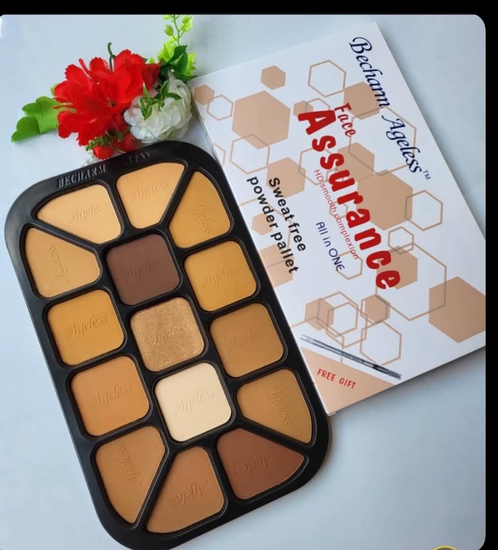 Becharm ageless concealer pallet big